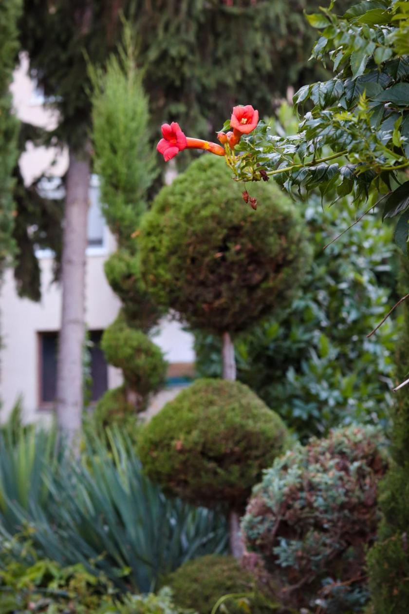 布达佩斯Cozy Panorama At The Castle公寓 外观 照片